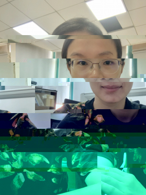 溫